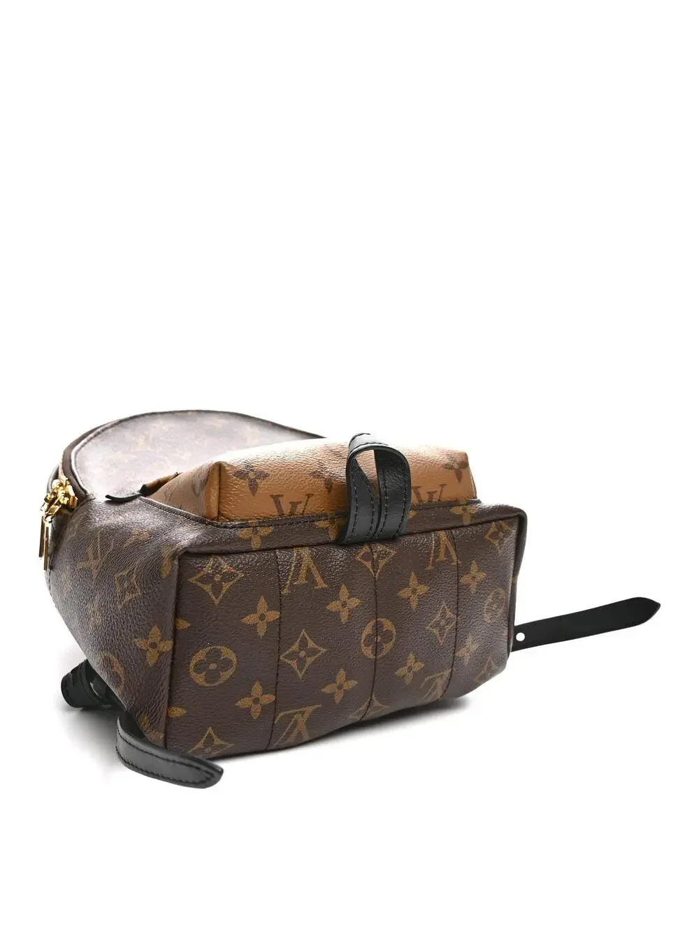 Louis Vuitton Reverse Palm Springs #322636L13B